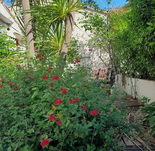 Maison Centre Montpellier Jardin Et Proche Plage